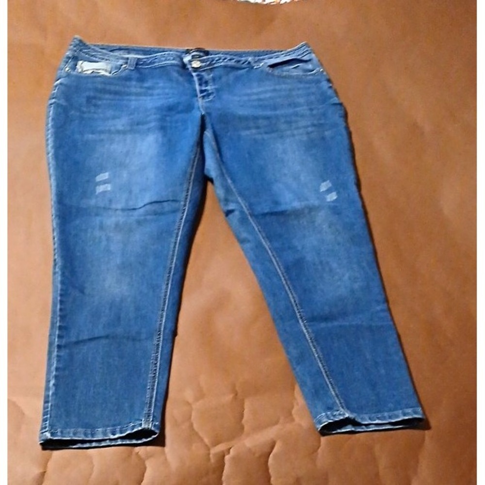 BACCINI Womens Plus Size 20W Blue Denim Ankle Jeans Stretch Solid Distressed